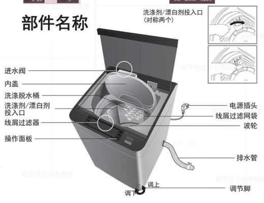 波轮洗衣机结构图（波轮洗衣机的尺寸）