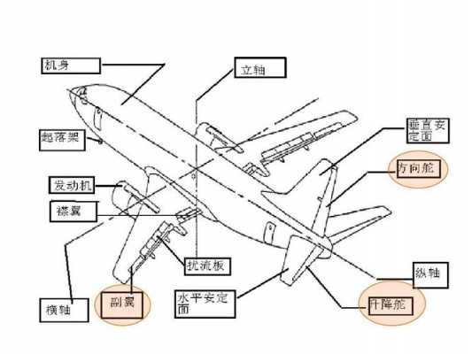 飞机大概的结构（飞机的结构及作用）