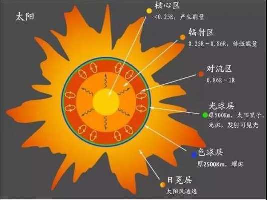 太阳的内部结构（太阳的内部结构图）