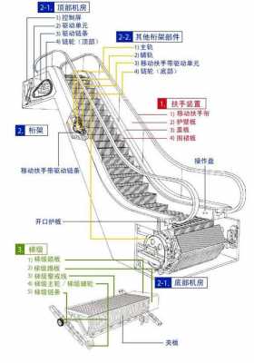 扶手梯结构（扶梯的扶手有几种型号）